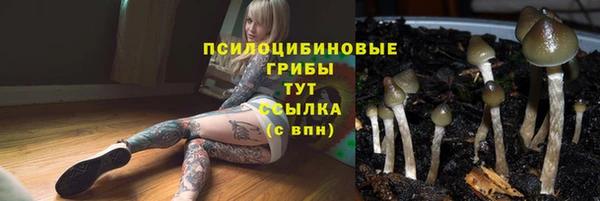 индика Навашино