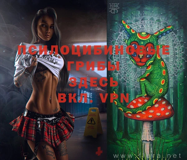 индика Навашино