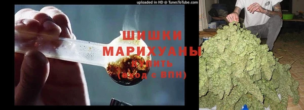 индика Навашино