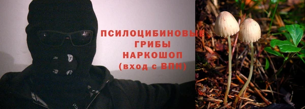 сатива Наволоки