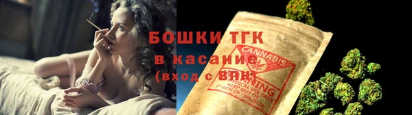 индика Навашино