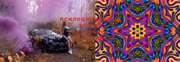 индика Навашино