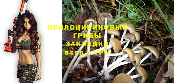 сатива Наволоки