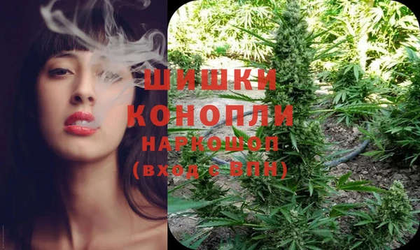 индика Навашино